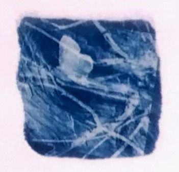 Still life 9