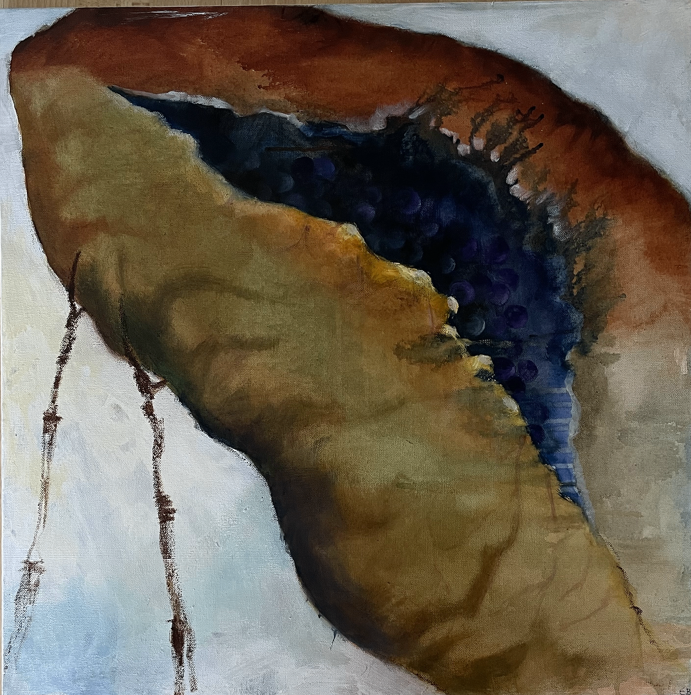 seeds-07