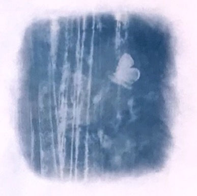 Still life 6