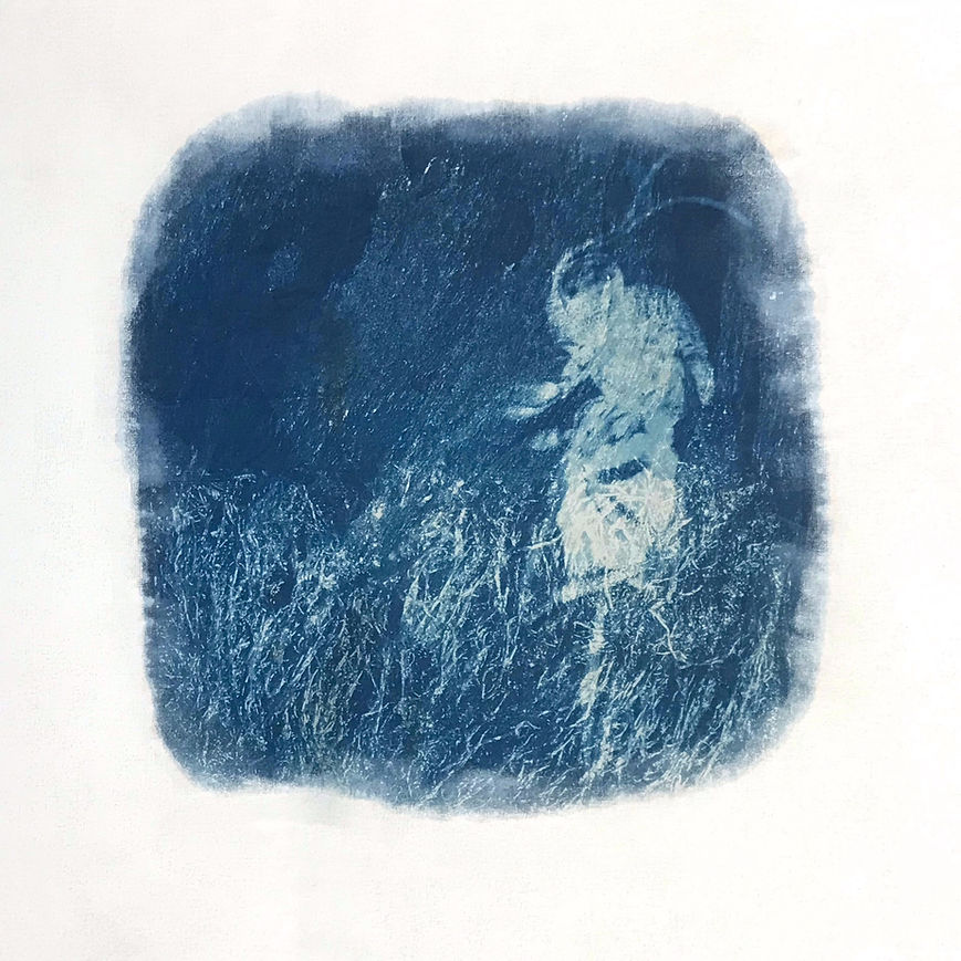 Still life 11