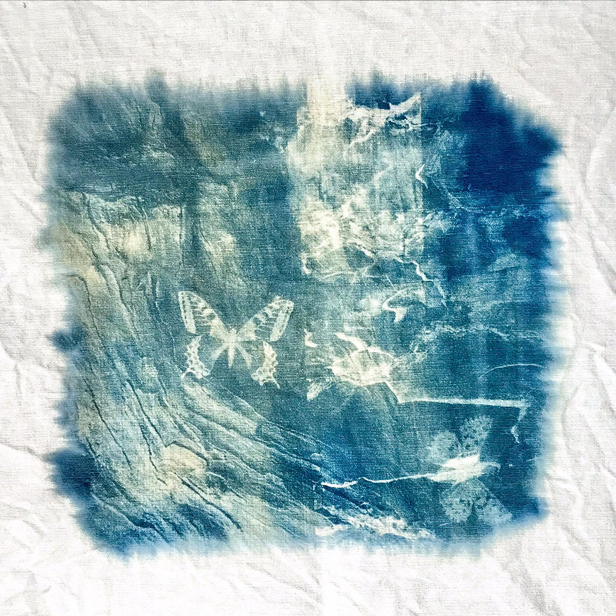 Still life 10