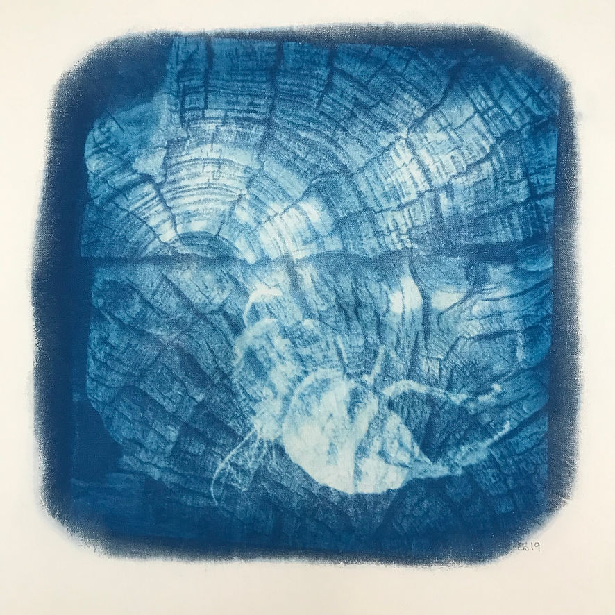Still life 12