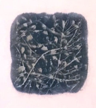 Still life 5
