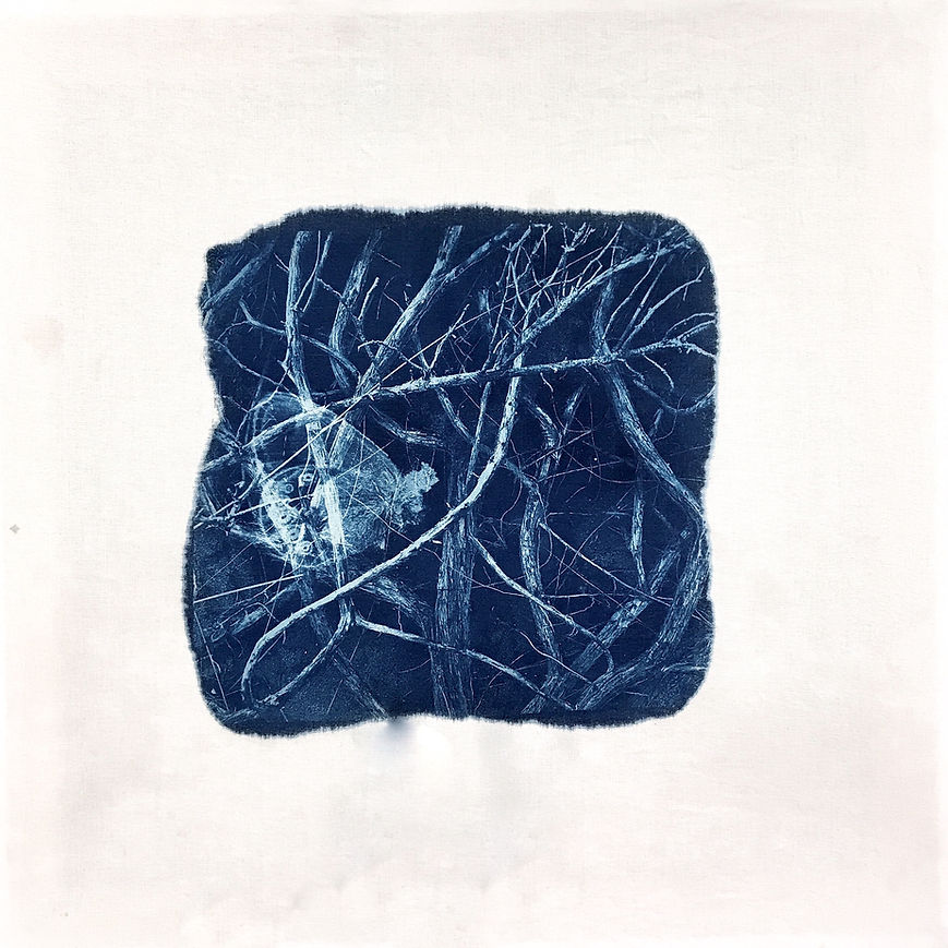 Still life 8